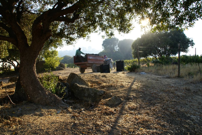 PAARL,WELLINGTON,accommodation, boutique, SELF CATERING, WINE,AFFORDABLE