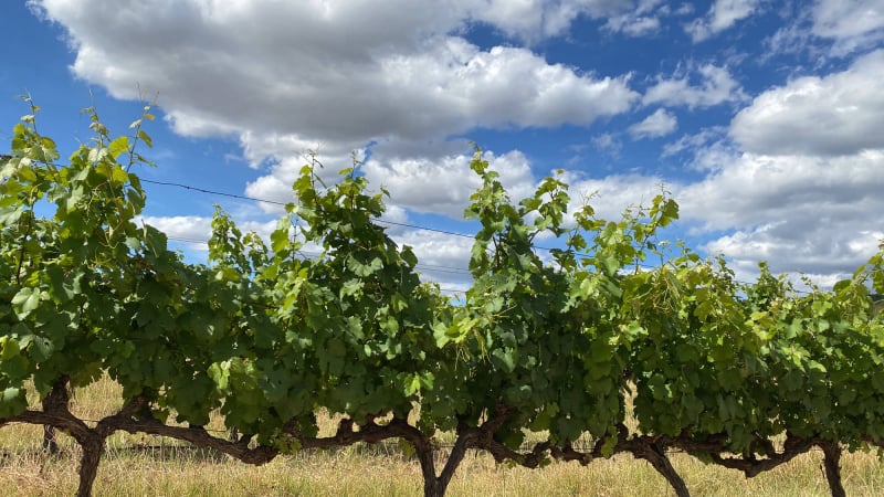 PAARL,WELLINGTON,accommodation, boutique, SELF CATERING, WINE,AFFORDABLE